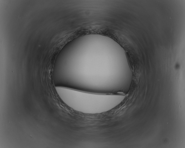 X0000094061010200710190927
