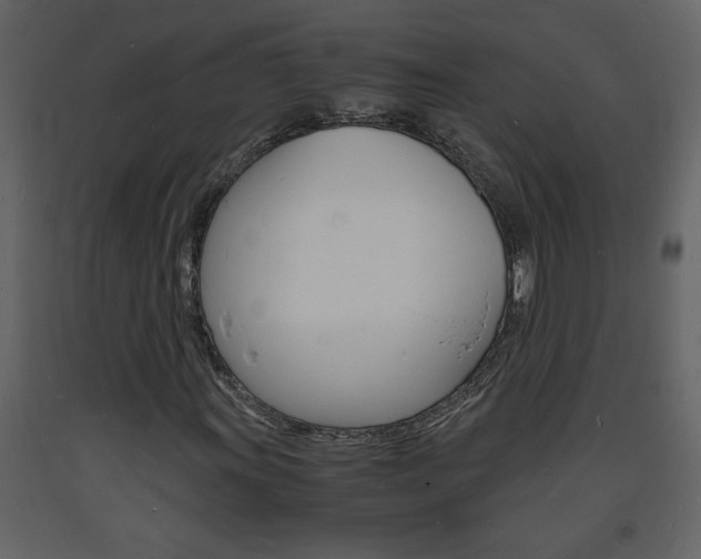 X0000094061011200710190927