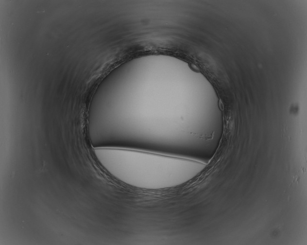 X0000094061012200710190927