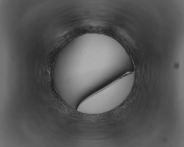 X0000094061013200710190927