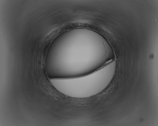 X0000094061014200710190927