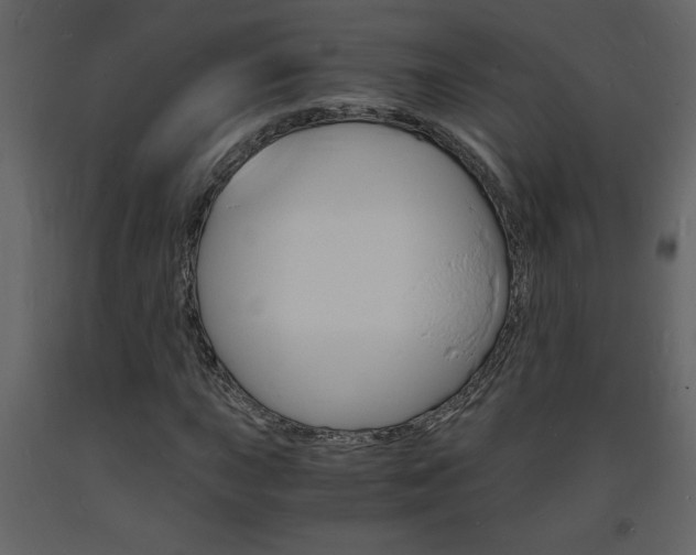 X0000094061015200710190927