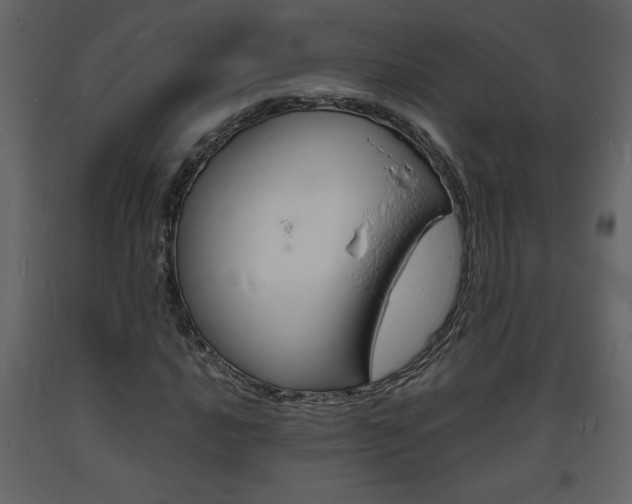 X0000094061016200710190927