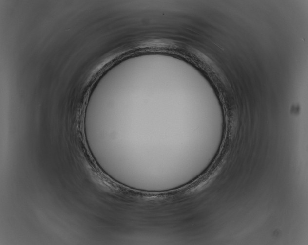 X0000094061017200710190927
