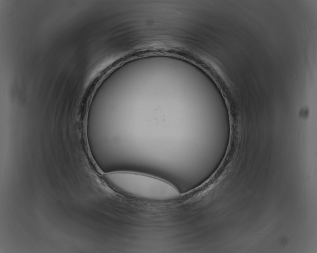 X0000094061018200710190927