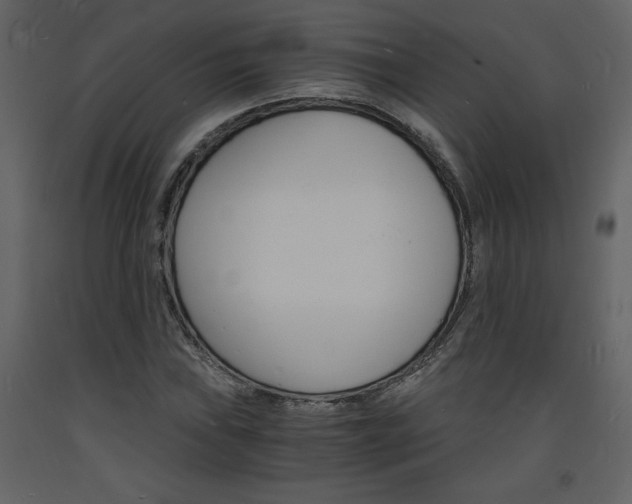 X0000094061019200710190927