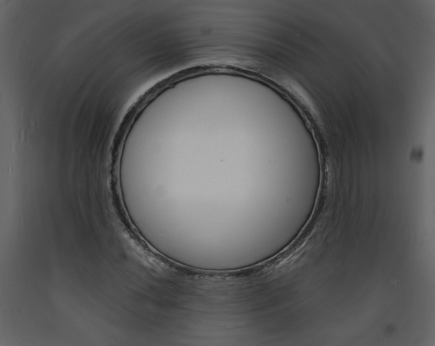 X0000094061020200710190927