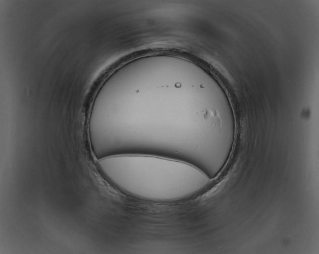 X0000094061021200710190927