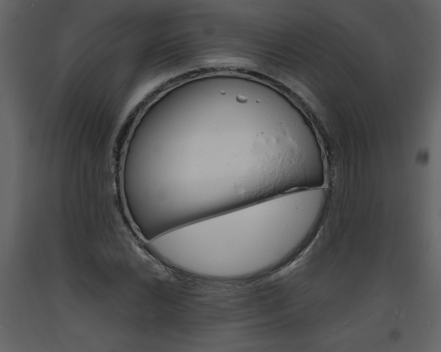 X0000094061022200710190927