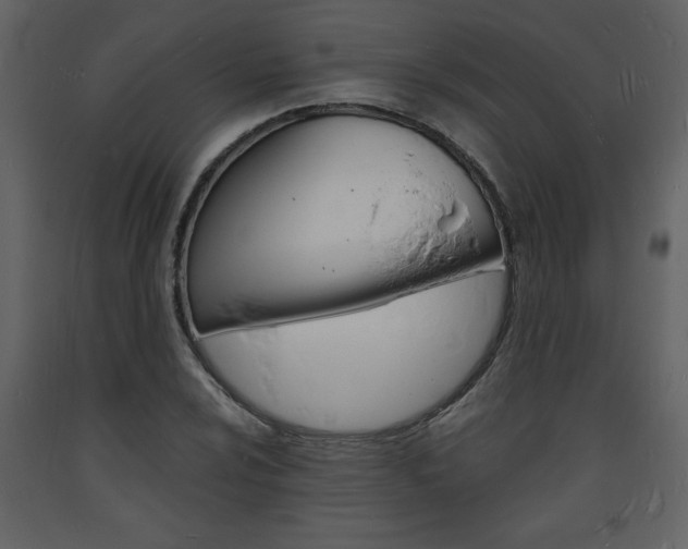X0000094061024200710190928