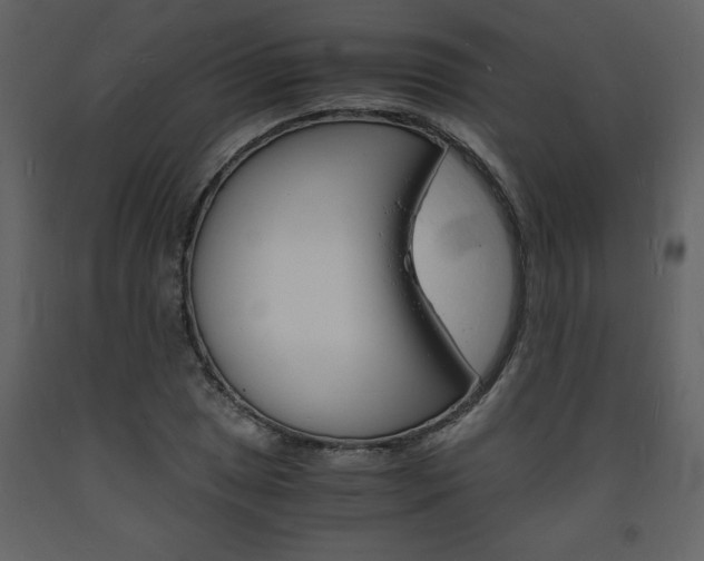 X0000094061025200710190928