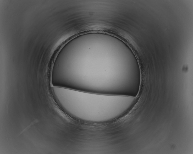 X0000094061026200710190928