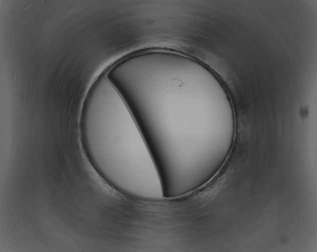 X0000094061028200710190928