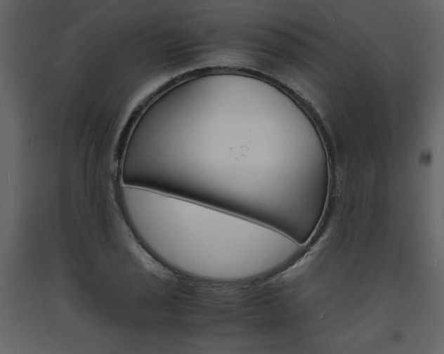X0000094061029200710190928