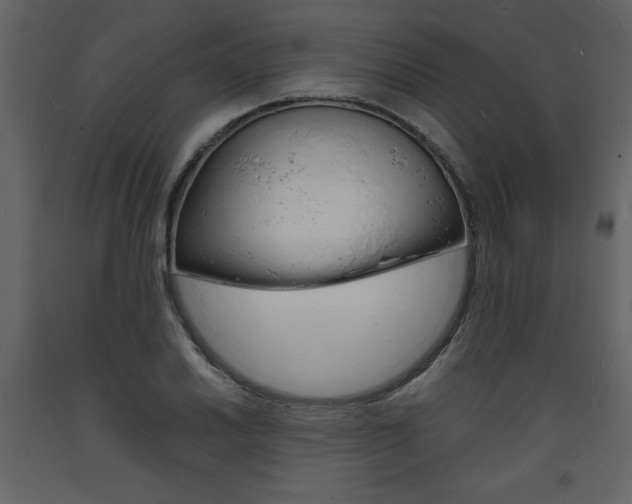 X0000094061030200710190928