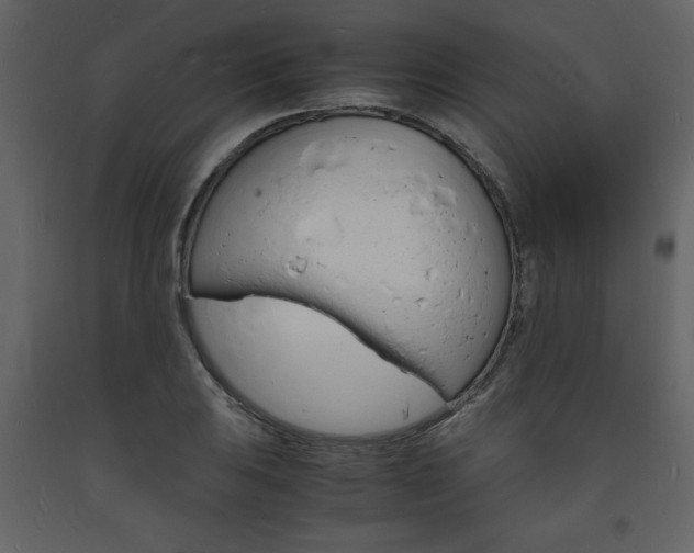 X0000094061031200710190928