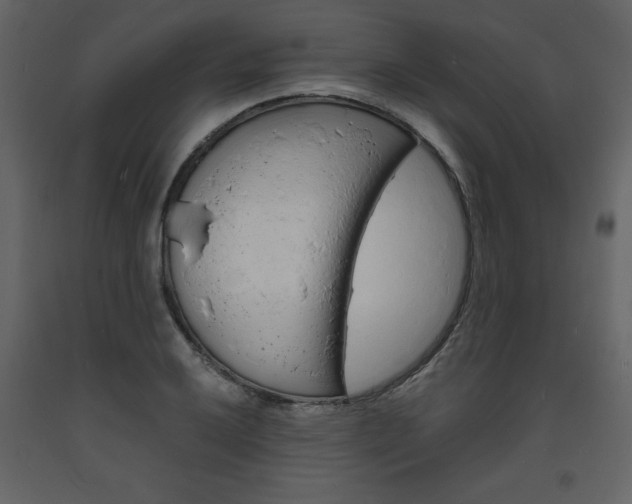 X0000094061032200710190928