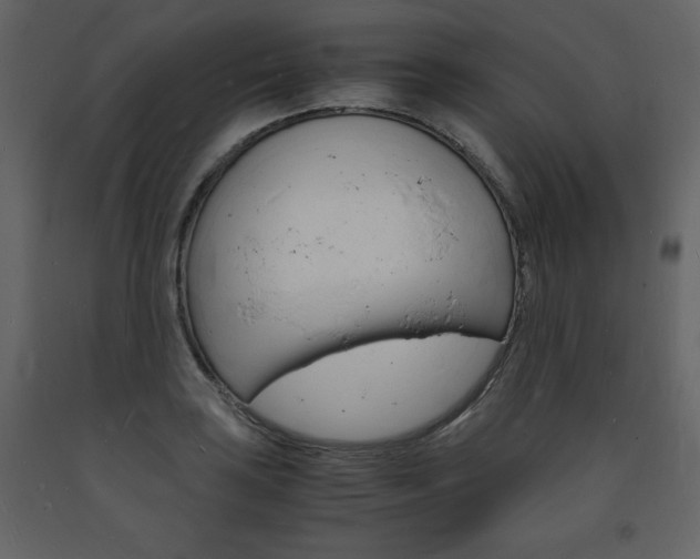 X0000094061035200710190928