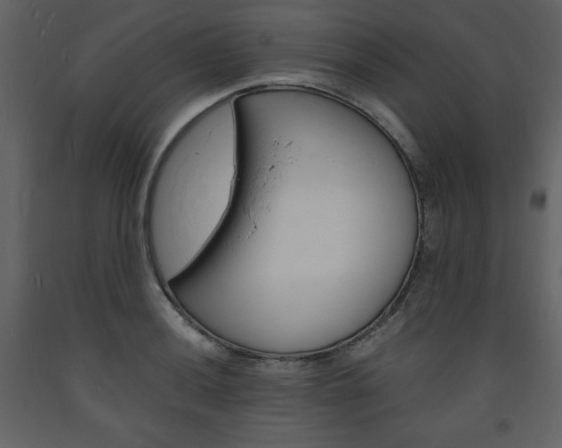 X0000094061036200710190928