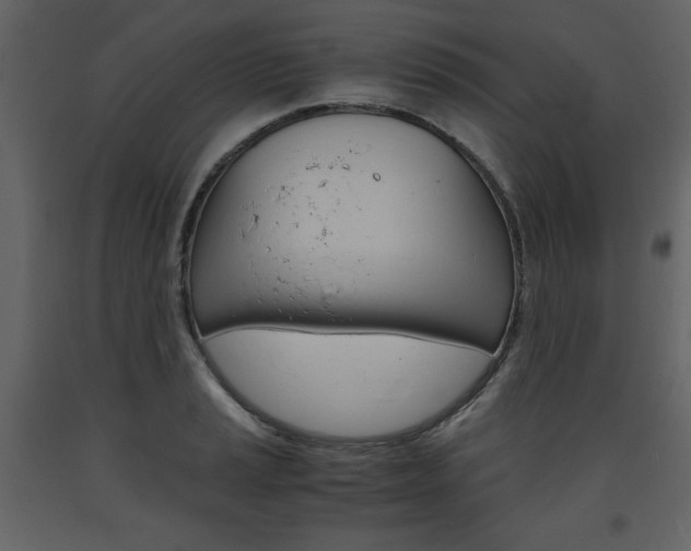 X0000094061037200710190928