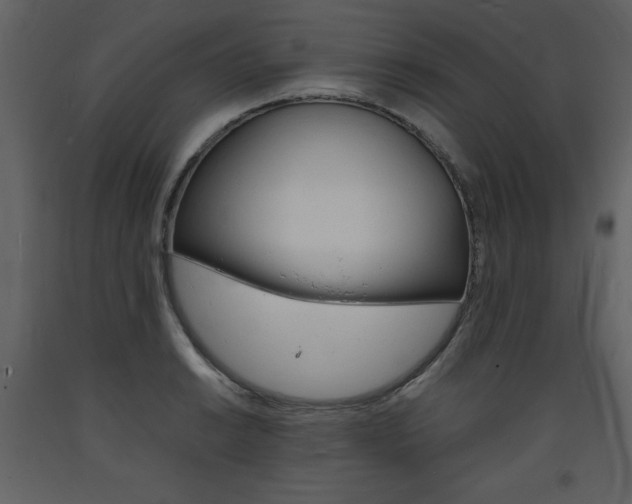 X0000094061038200710190928