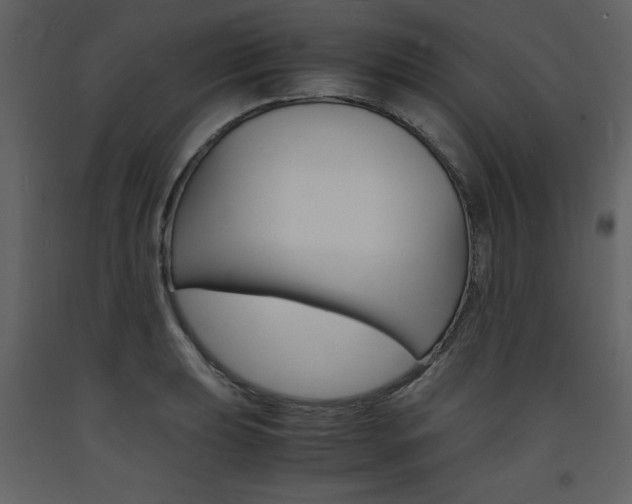 X0000094061039200710190928