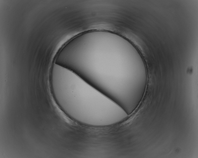 X0000094061040200710190928