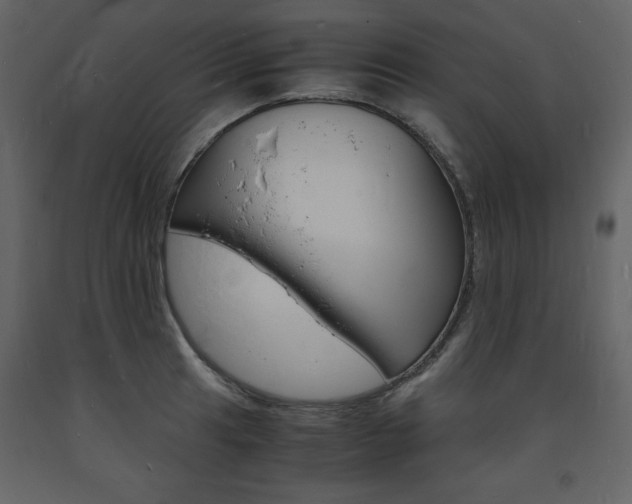 X0000094061041200710190928