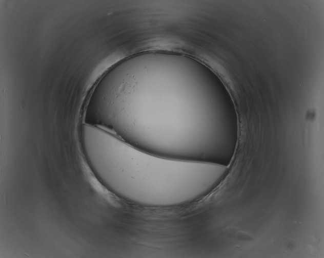 X0000094061042200710190928