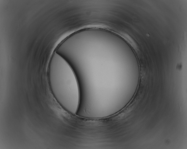 X0000094061044200710190928