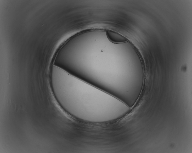 X0000094061045200710190928