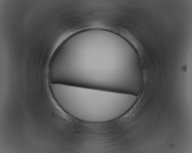 X0000094061048200710190928