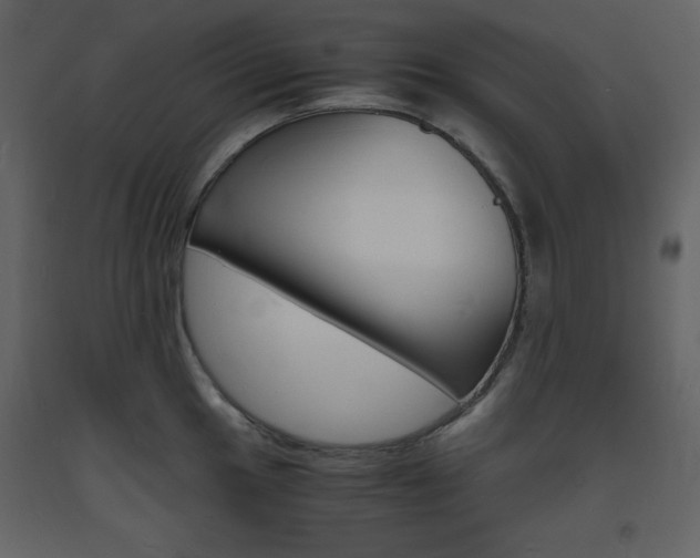 X0000094061049200710190928