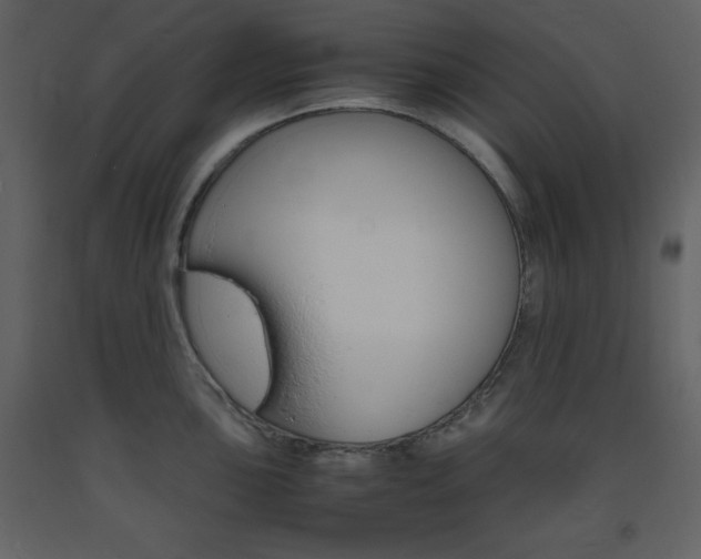 X0000094061051200710190928