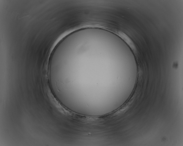 X0000094061052200710190928