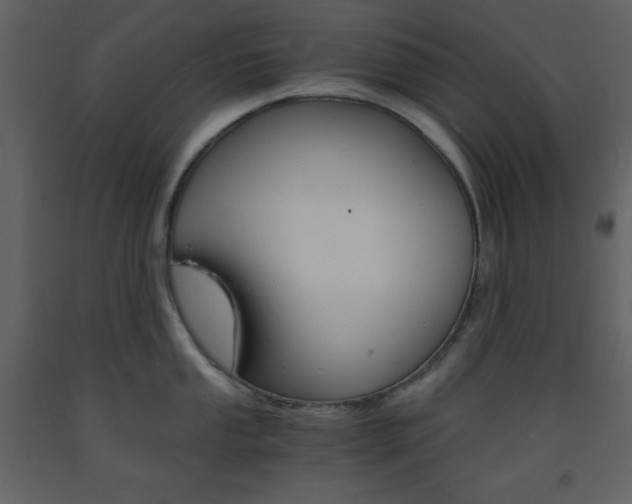 X0000094061053200710190928