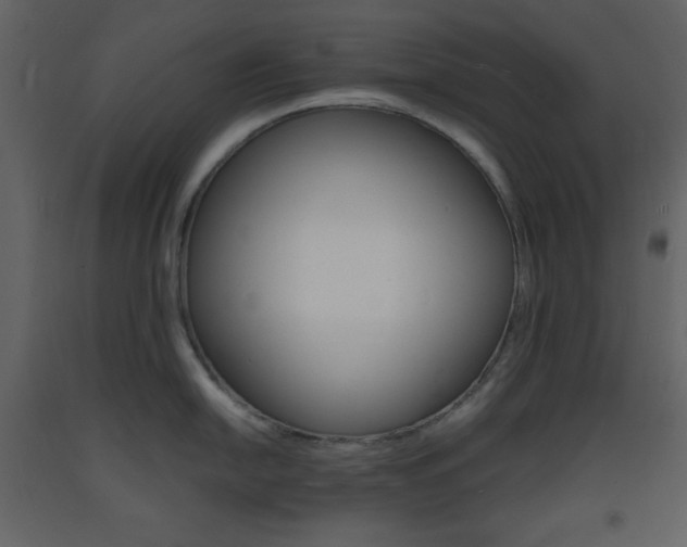 X0000094061054200710190928