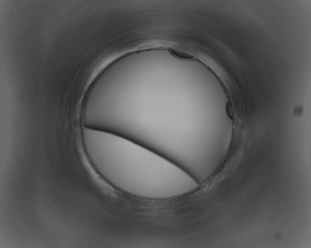 X0000094061055200710190928