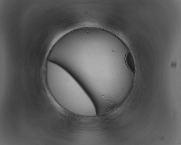 X0000094061056200710190928