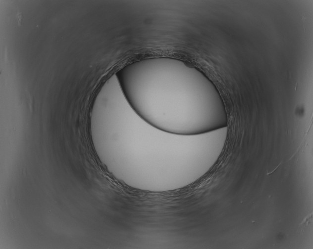 X0000094061057200710190927