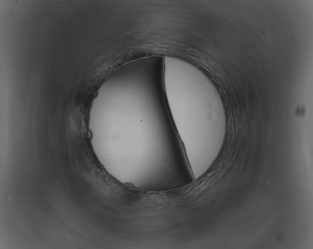 X0000094061058200710190927