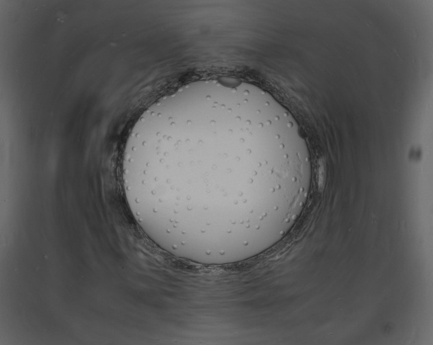 X0000094061059200710190927