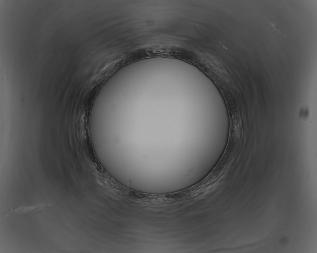 X0000094061060200710190927