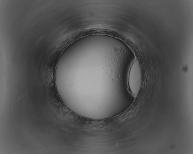 X0000094061062200710190927