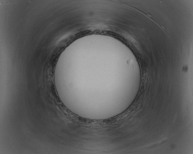 X0000094061063200710190927