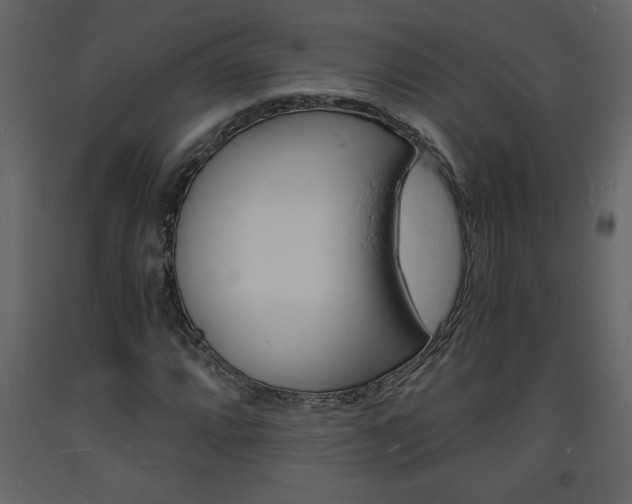X0000094061064200710190927