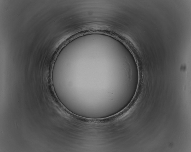 X0000094061065200710190927
