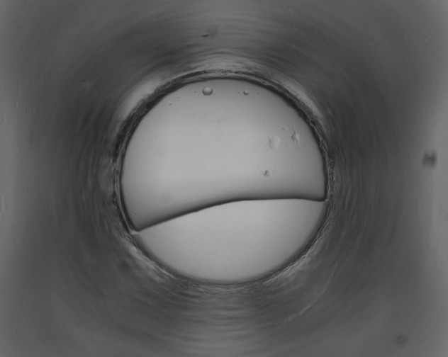 X0000094061067200710190927