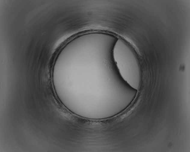 X0000094061070200710190927