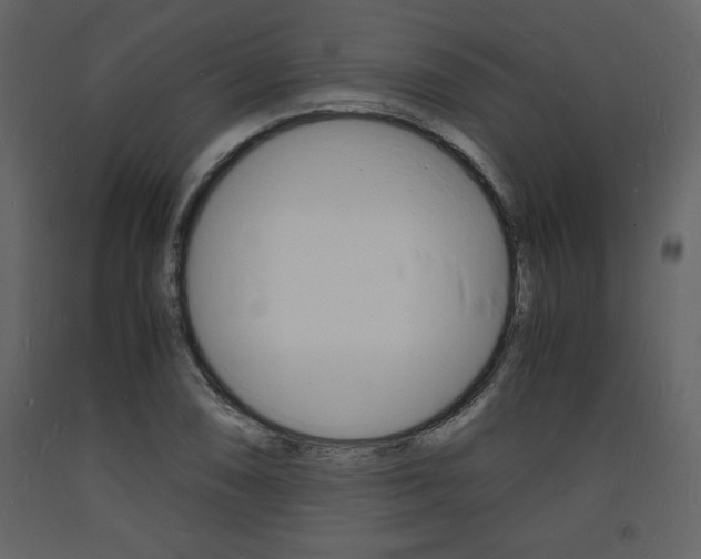 X0000094061074200710190927